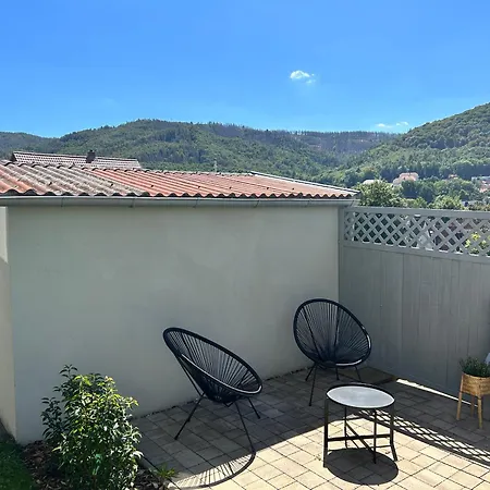 Apartamento Harzburg-living Goethe's Bergblick *
